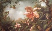 The Hummingbirds and Two Varieties of Orchids Martin Johnson Heade